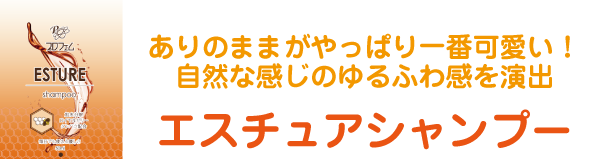 リニューアル エスチュアシャンプー 3000ml ワンクスオンラインショップ